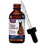 Muscle & Joint Support-M™ for Joint Pain in Pets